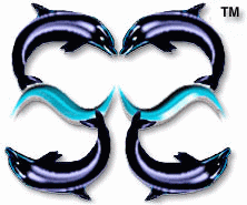 SafeSurf Dolphins